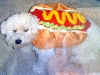 hot_dogs07