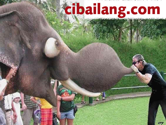 blowing an elephant